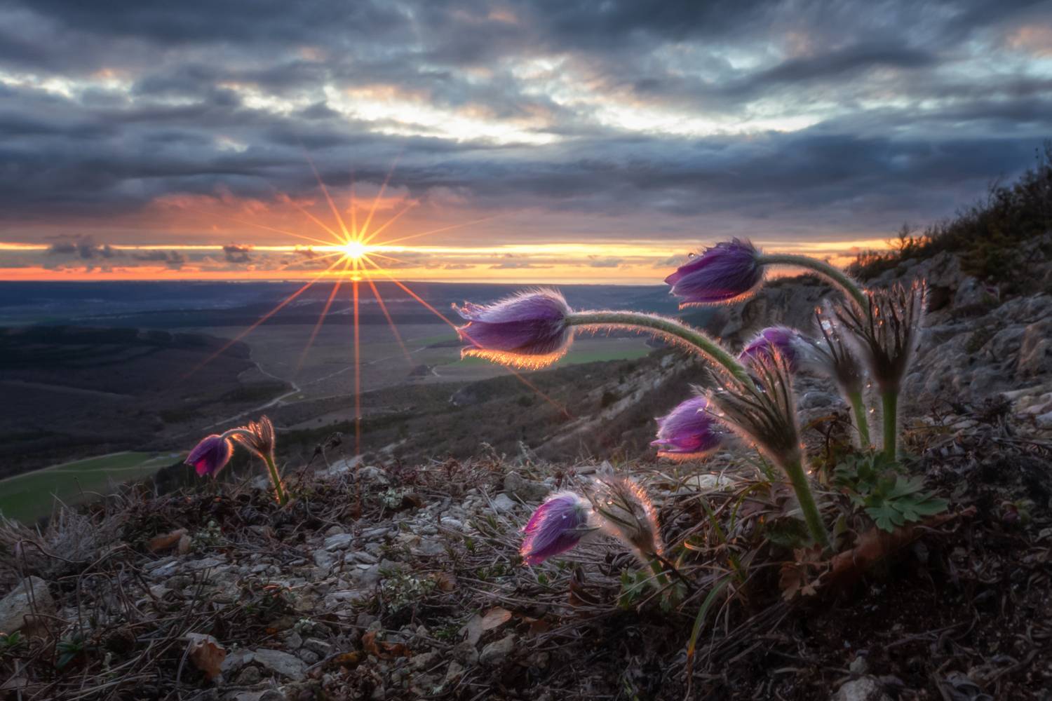 Фотография #13320890