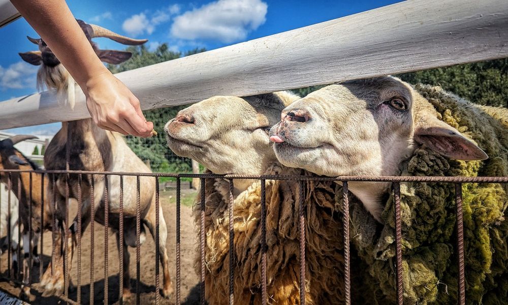 Photograph by Ирина Багдасарова