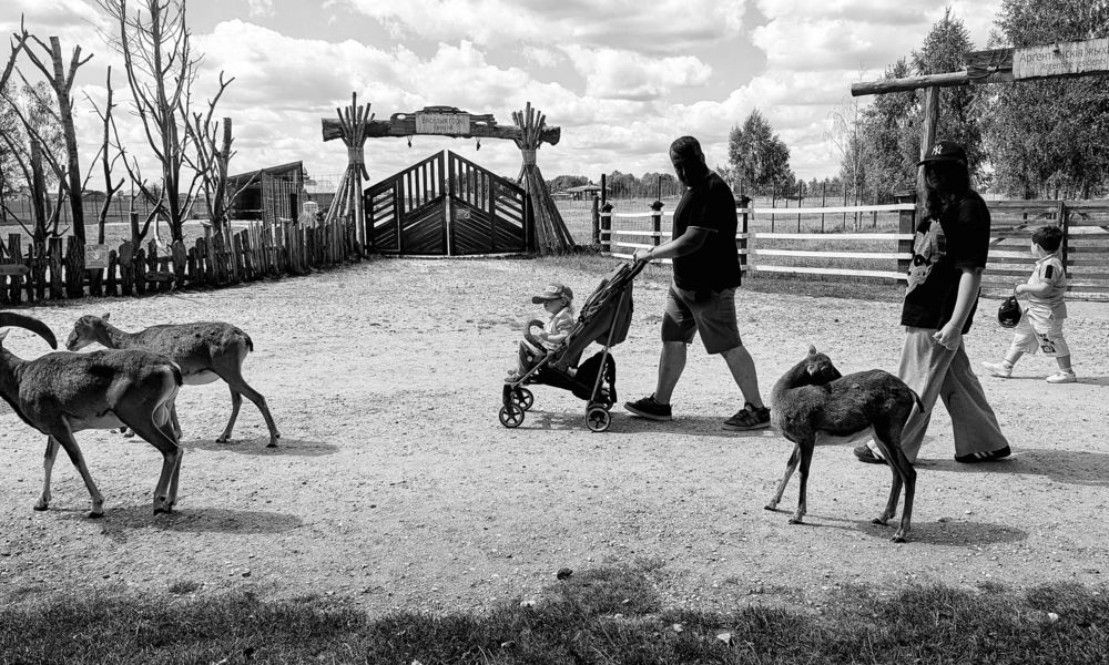 Photograph by Ирина Багдасарова