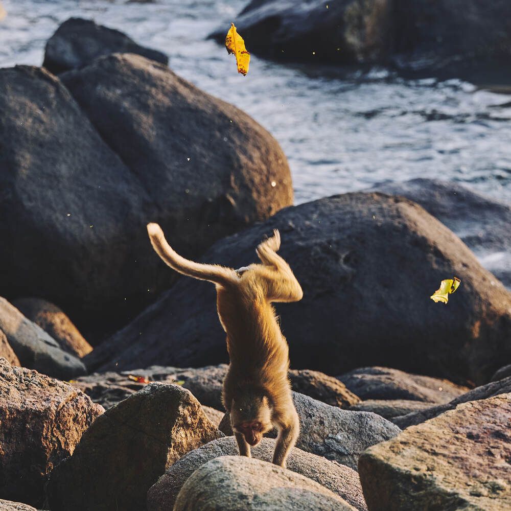 Photograph by Дмитрий Солодухин