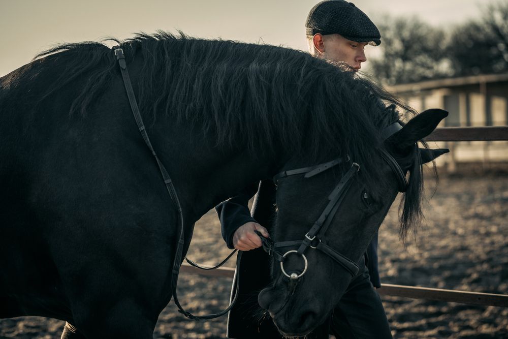 A young man with a Friesian horse