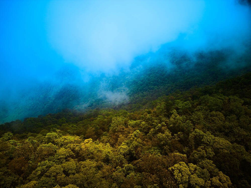 Photograph by Дмитрий Солодухин