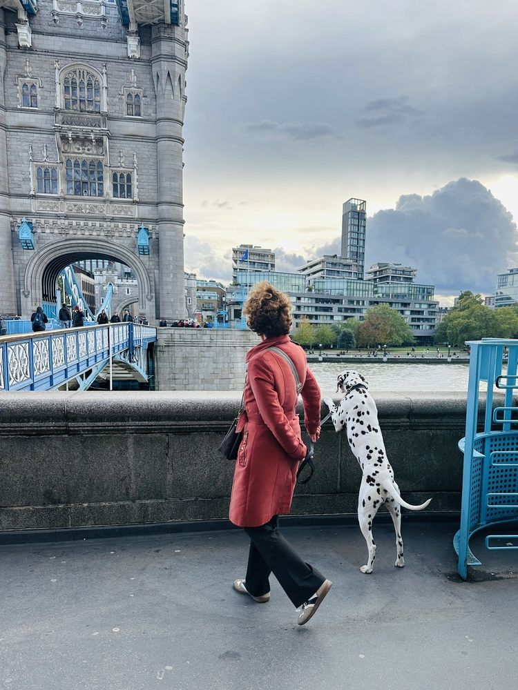 Photograph by Светлана Ионова