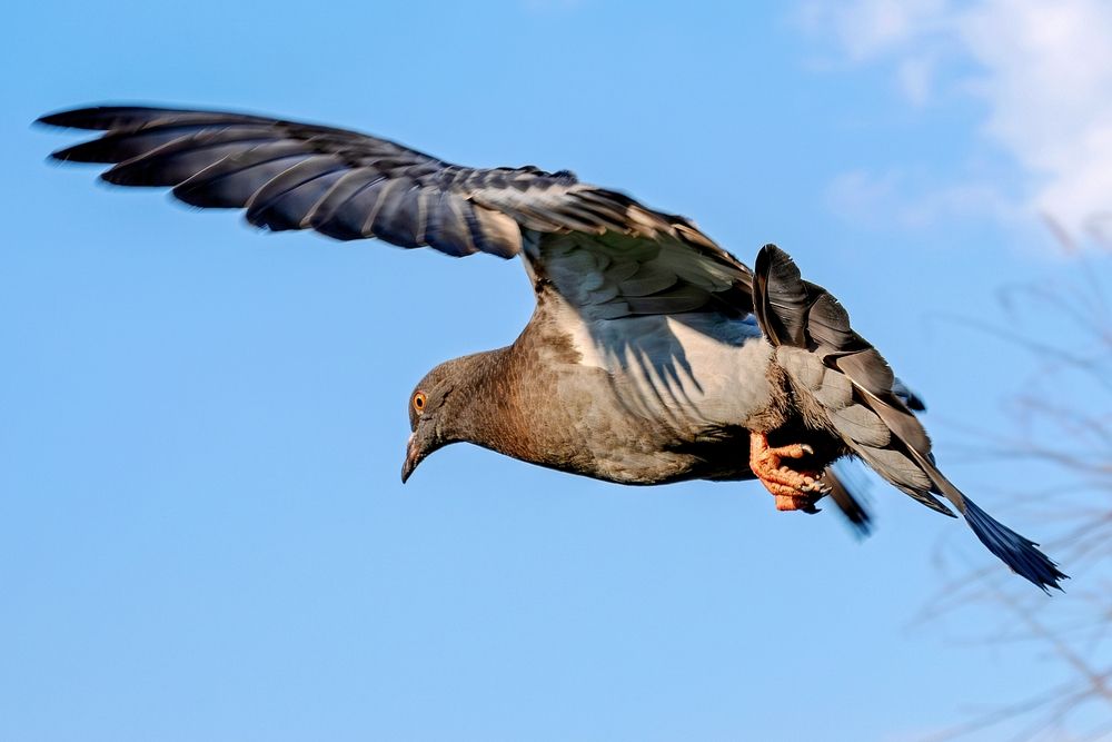 Photograph by Василиса