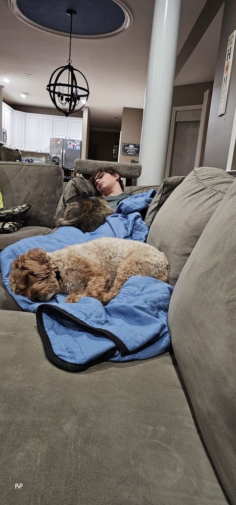 Photograph by R Pinsky