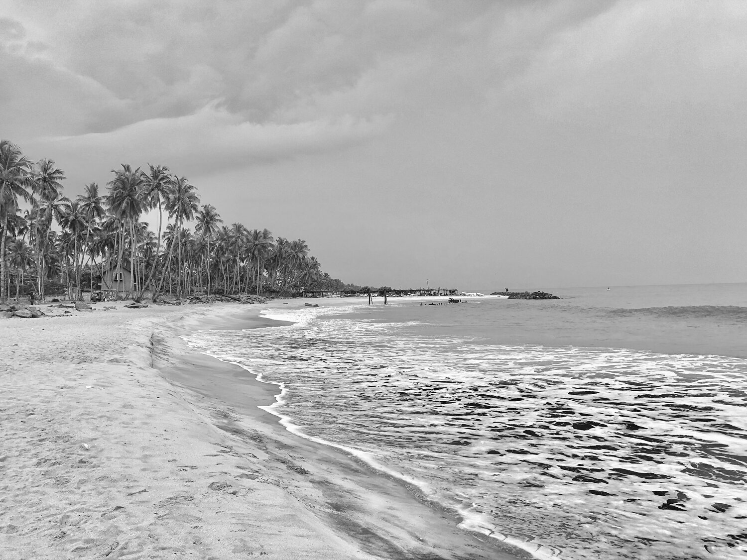 Photo #13321248