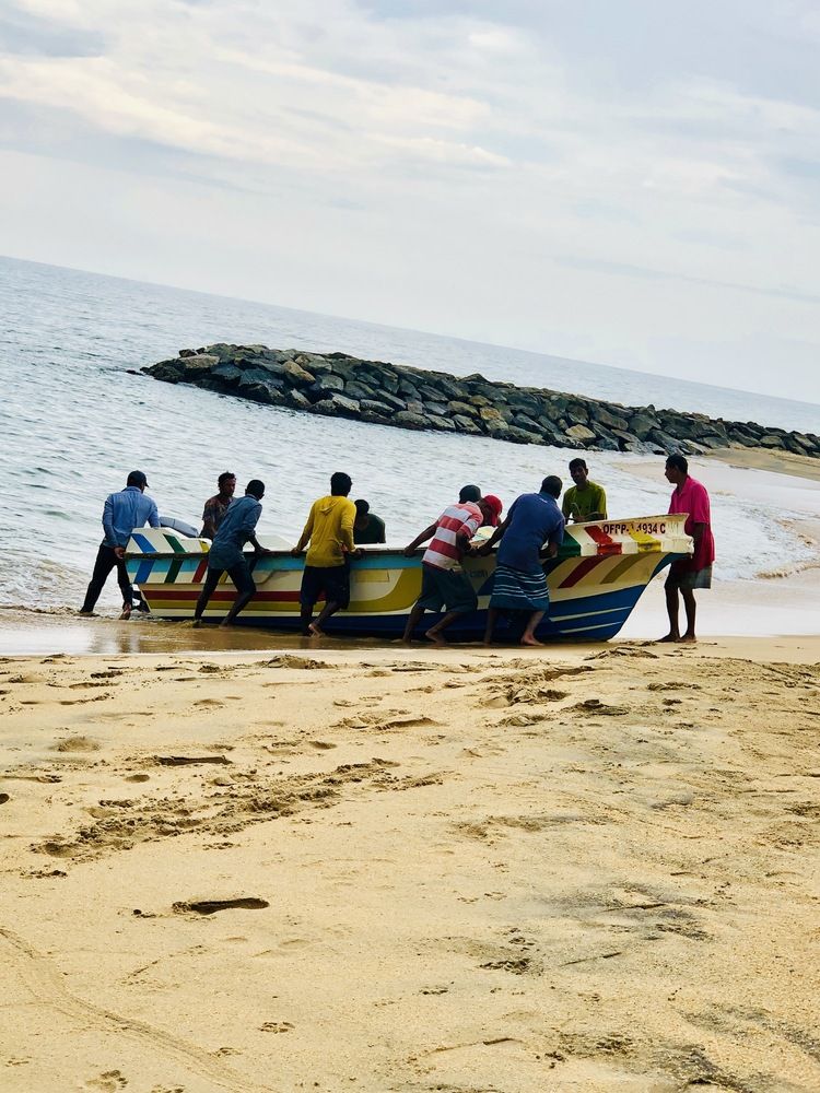Photograph by Pramo Liyanage