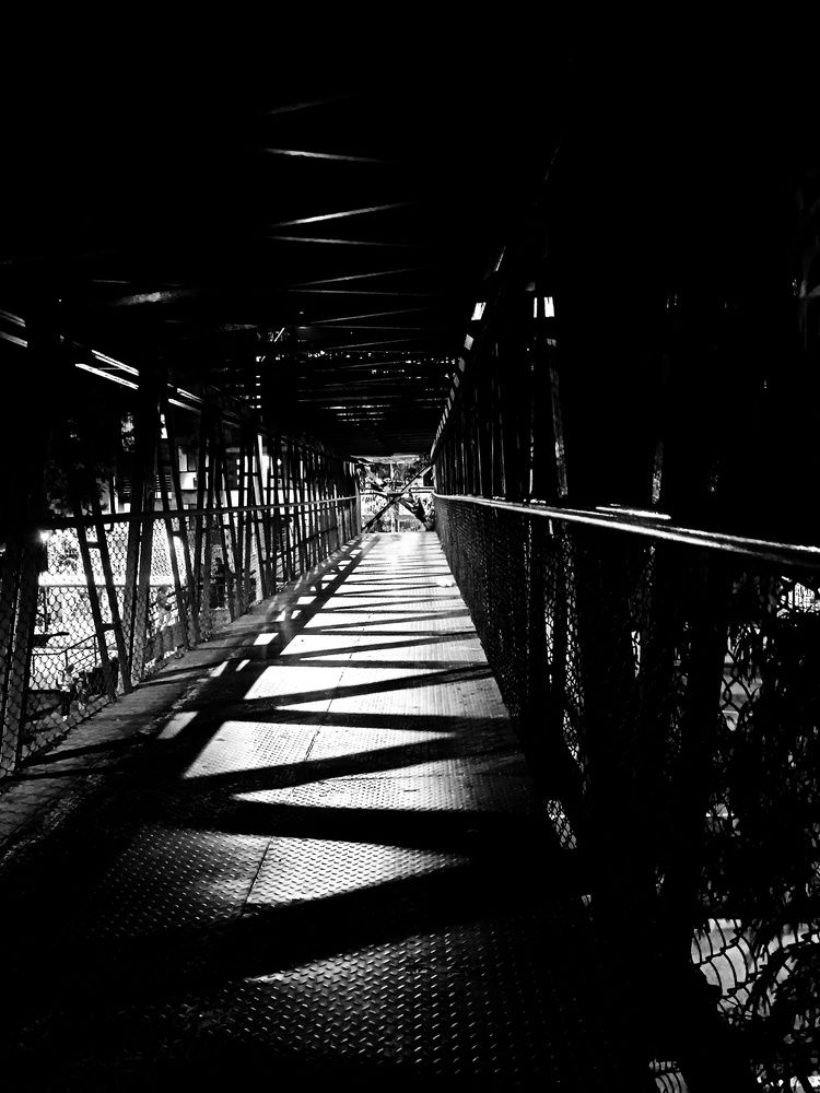 Photograph by Luis Fernando Tamayo Yepez
