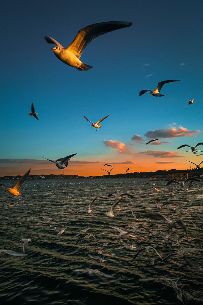 Photograph by Farshad Yazdankhah