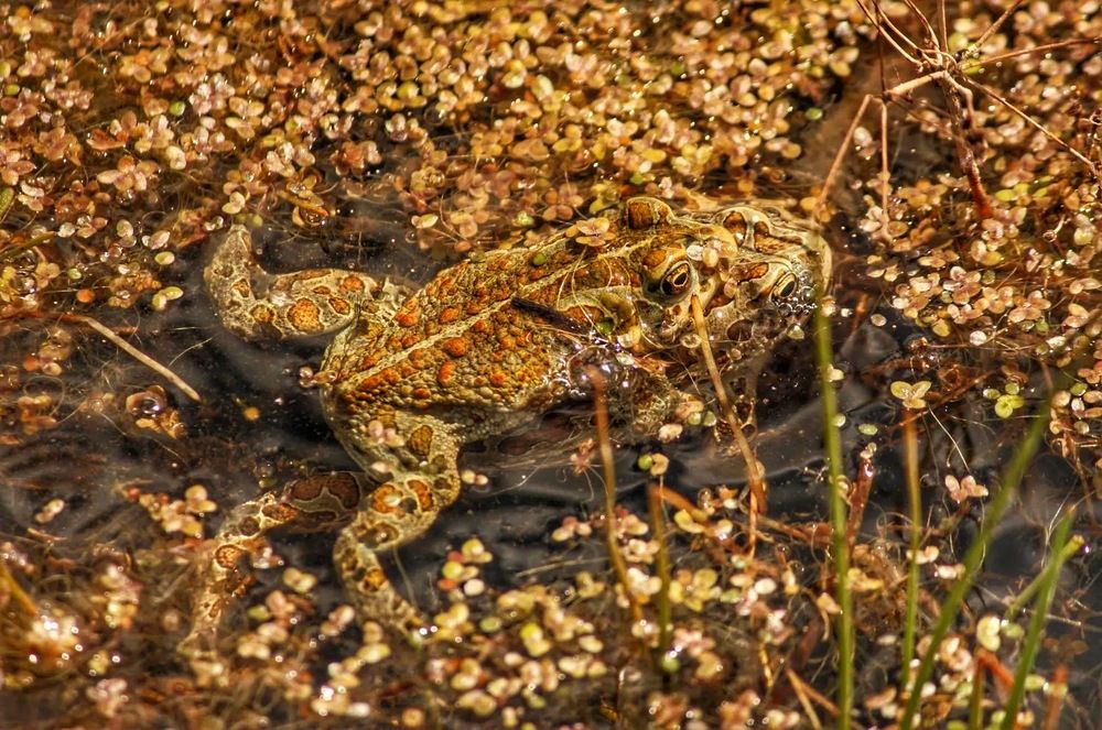 Photograph by Марина Мишутина