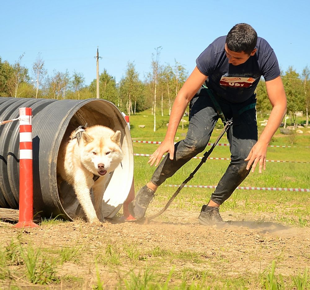 Photograph by НаталиЯ К.