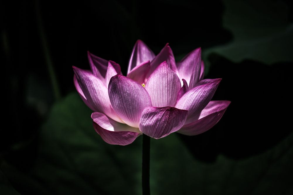 Фотография автора mak takano