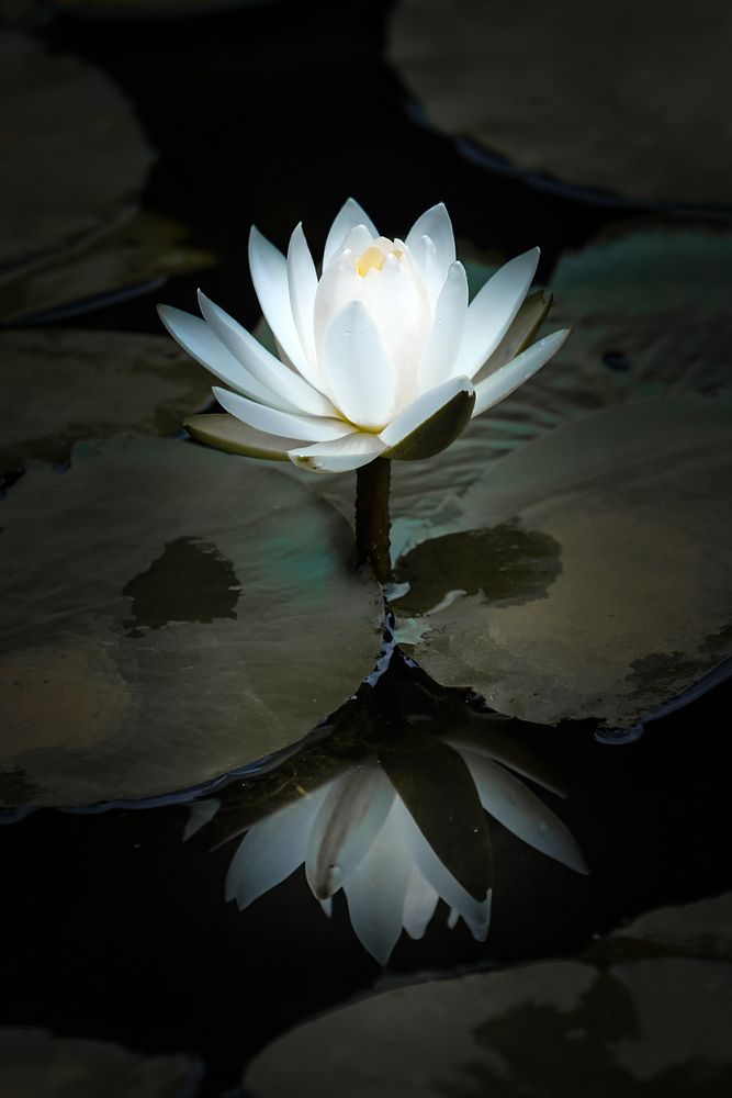 Фотография автора mak takano