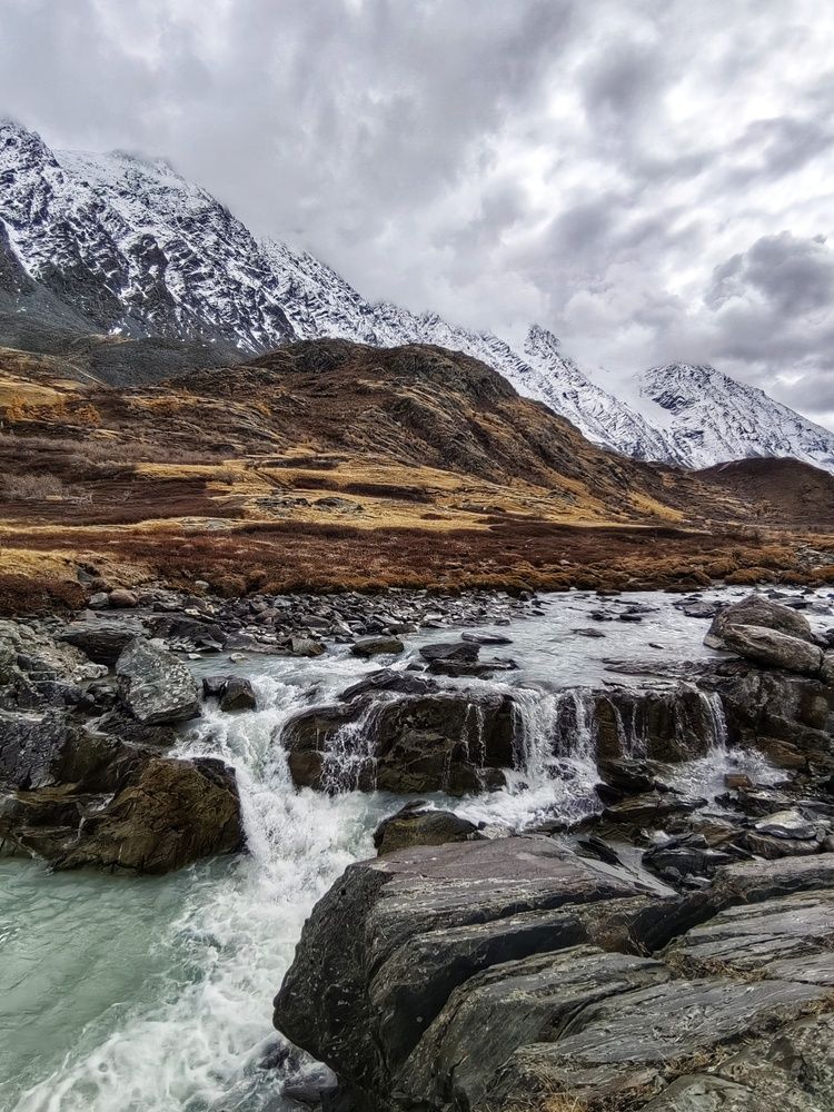 Фотография автора Елена Павлова