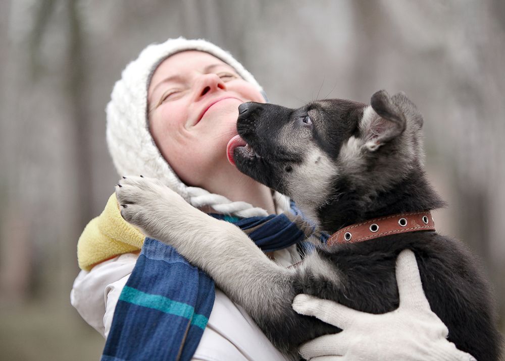 Photograph by Татьяна Попова