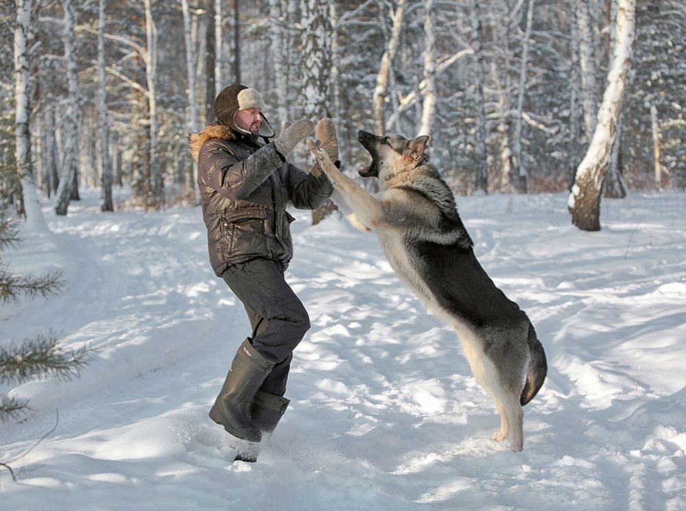 Тренировка.
