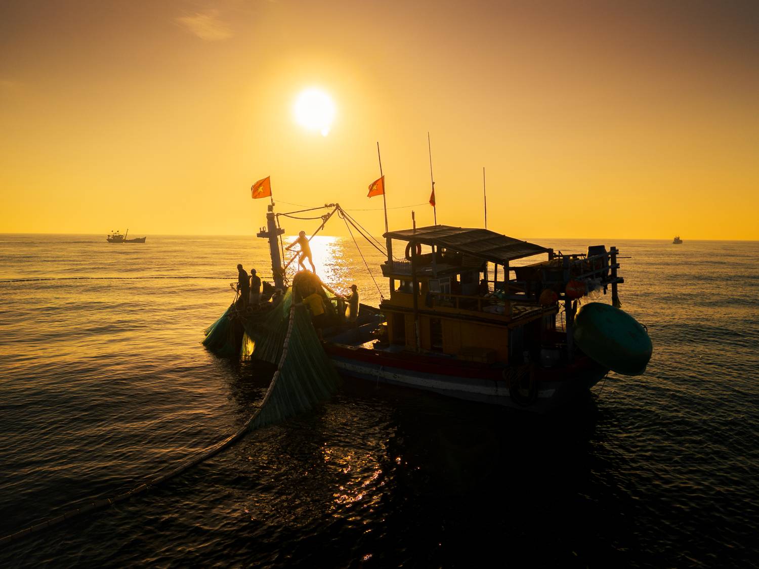 Dawn Harvest Dawn Harvest