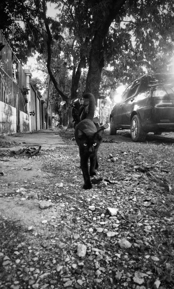 Photograph by Yana Borgia