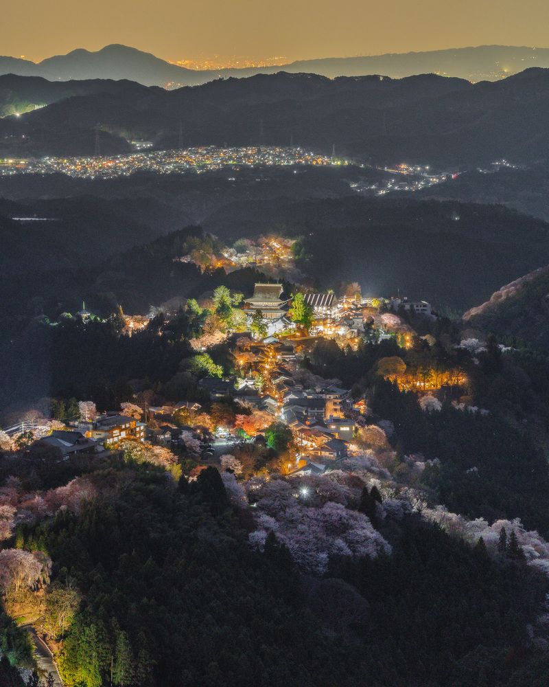 The Luminous Ridge