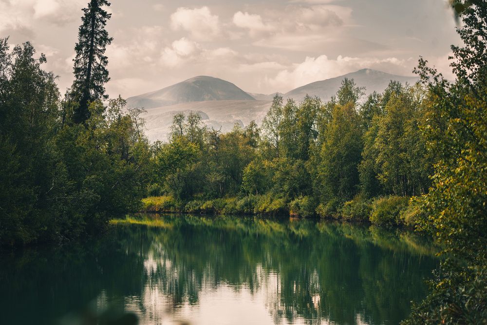 Фотография автора Ruslan Badykov