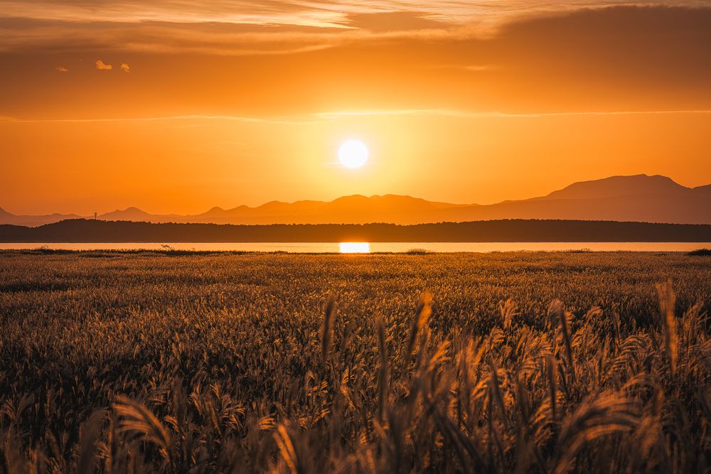 Photograph by Nagai Go