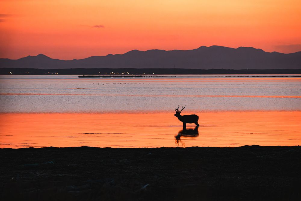 Photograph by Nagai Go