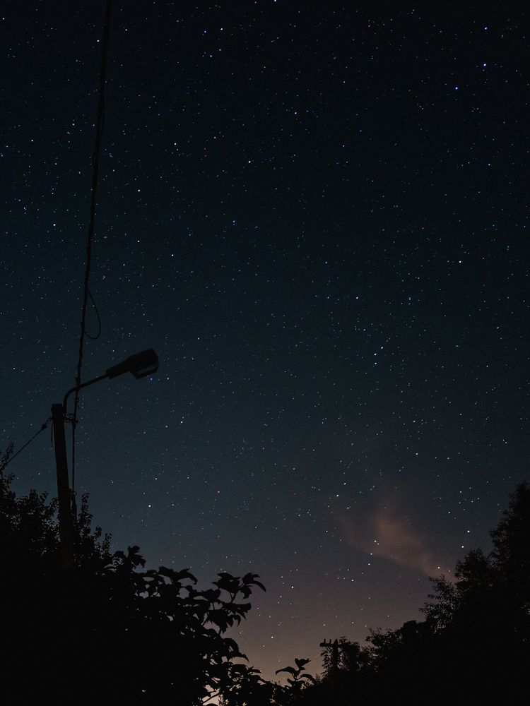 Photograph by Alexander Lonsdale