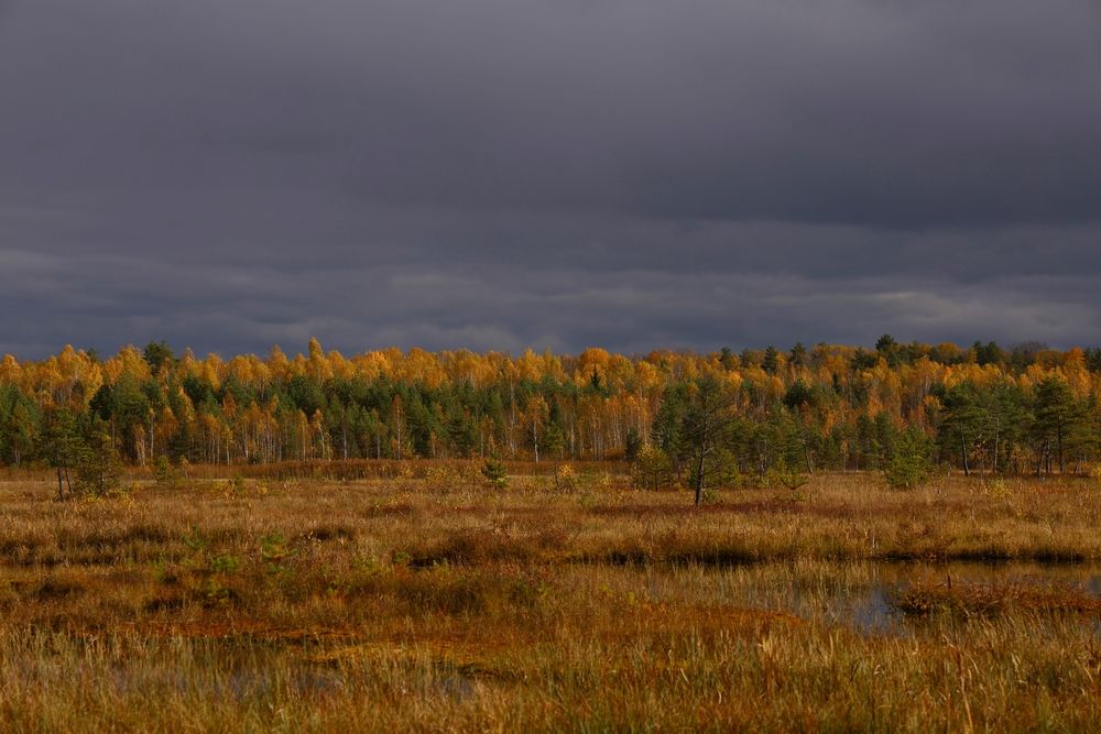 Photograph by Марина Иванникова