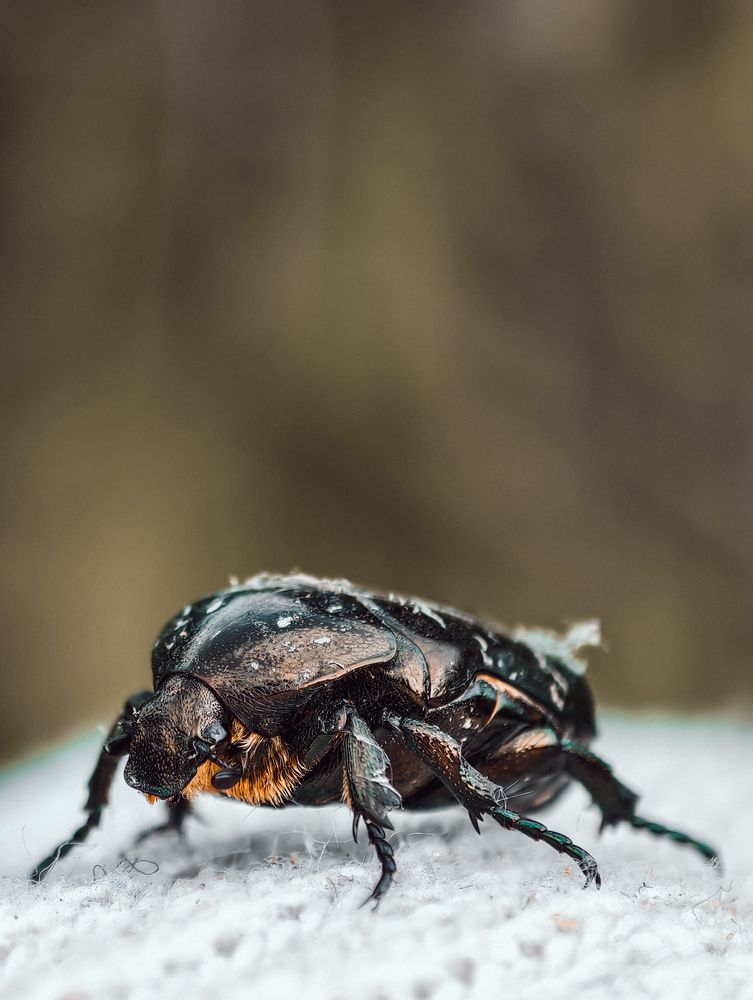 Photograph by Alexander Lonsdale