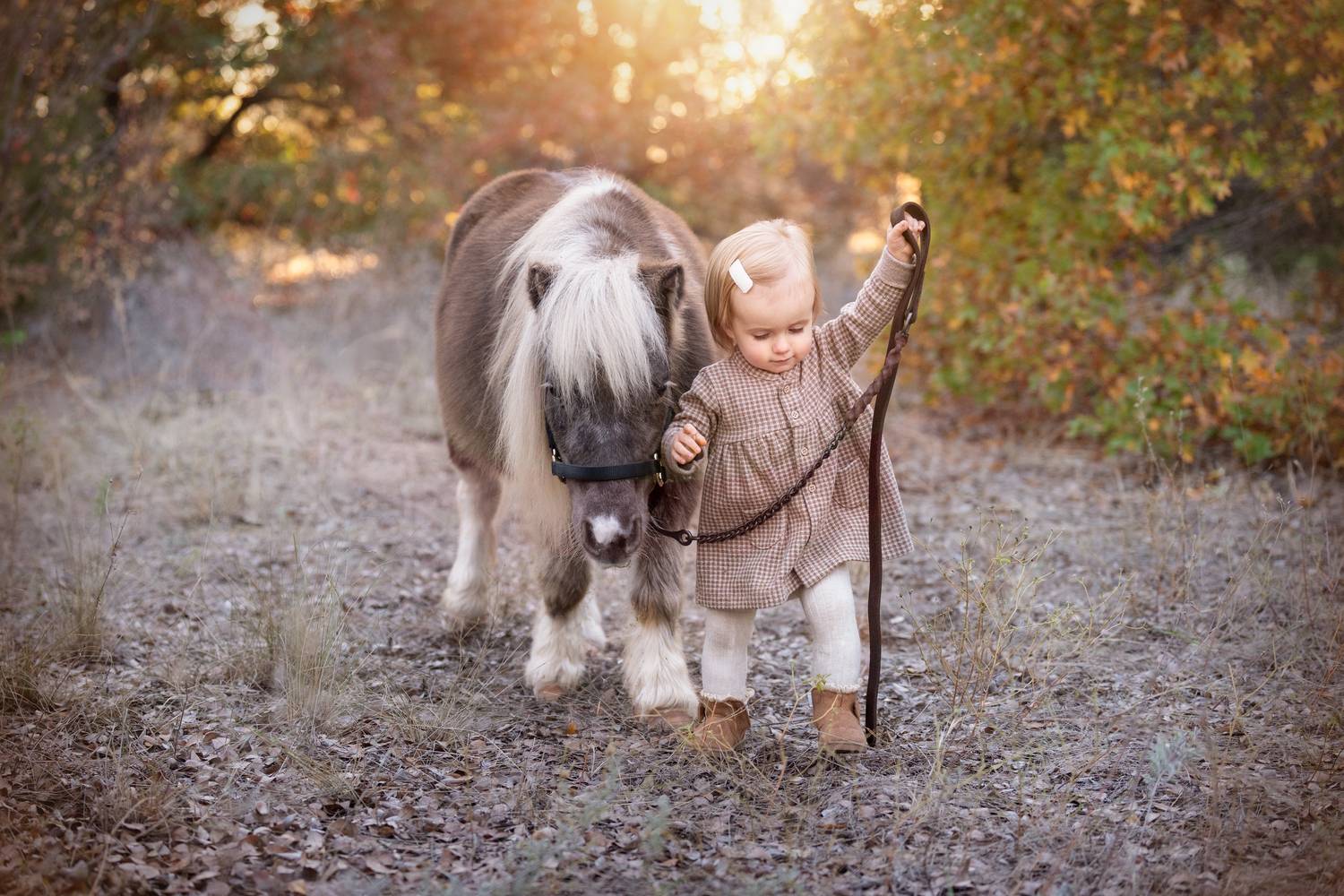 Фотография #13321860