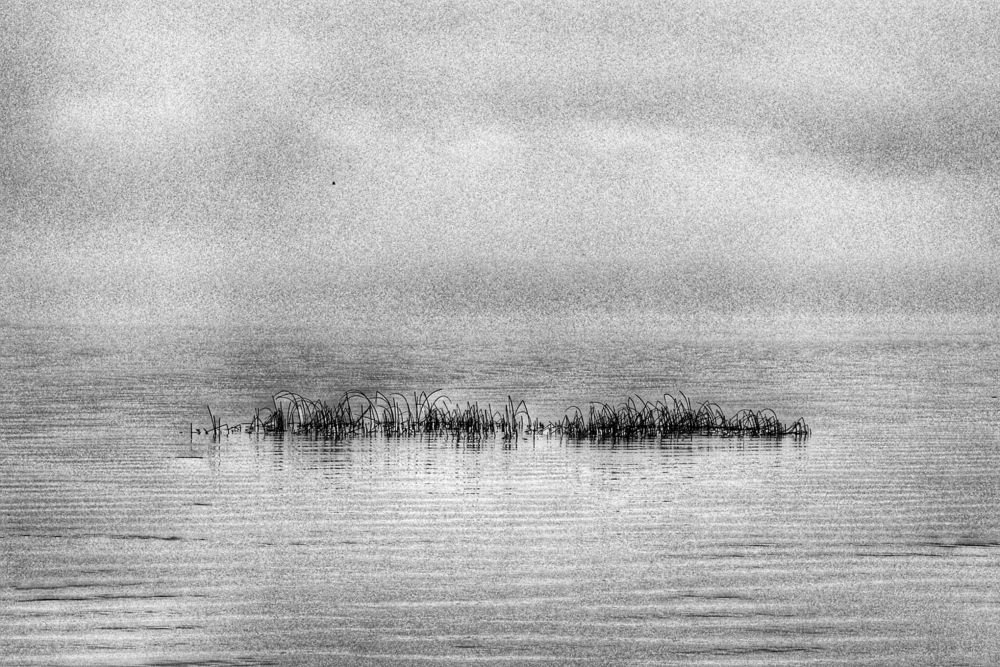 Туман над заливом