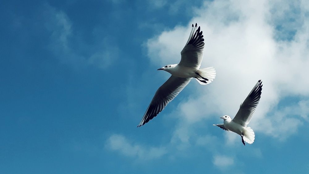 Photograph by Saidbakhovaddin