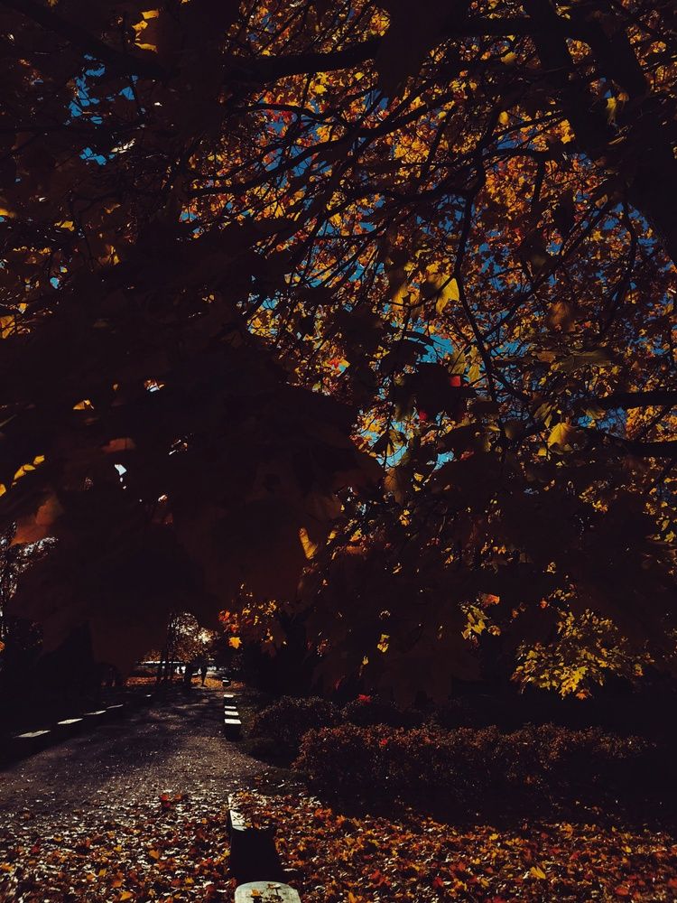 Photograph by Anastasia Uraeva