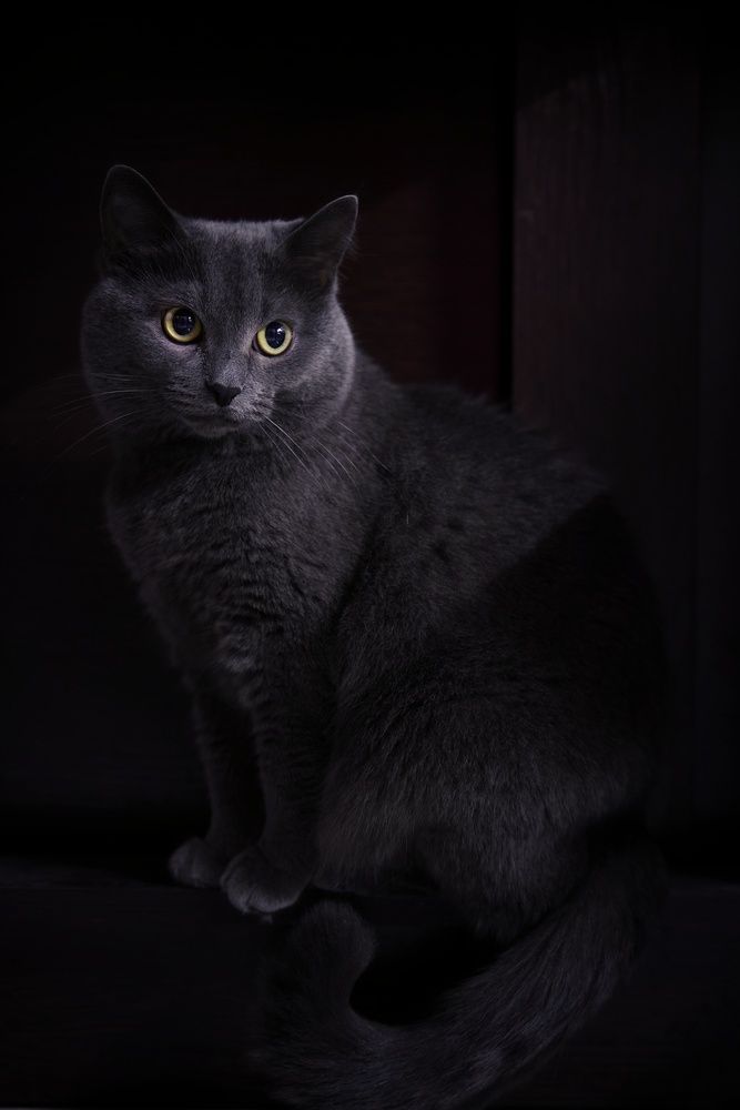 Photograph by Микрокосмос Владимир