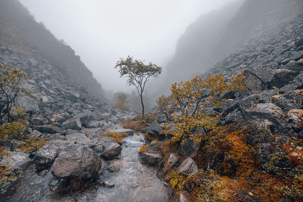 Photograph by Olga Akhmetova