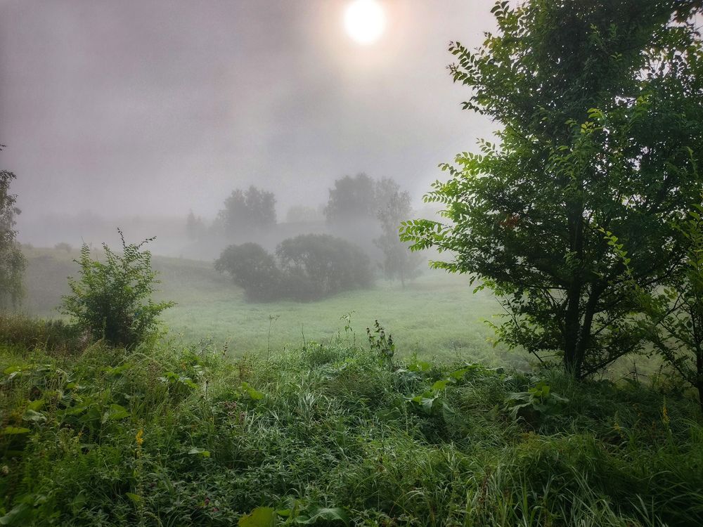 Photograph by Кондрашова Светлана