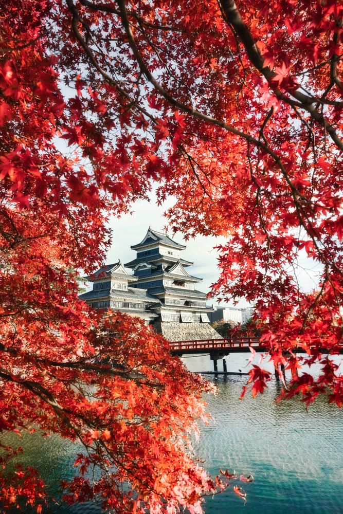 Photograph by 杉山 皓太郎