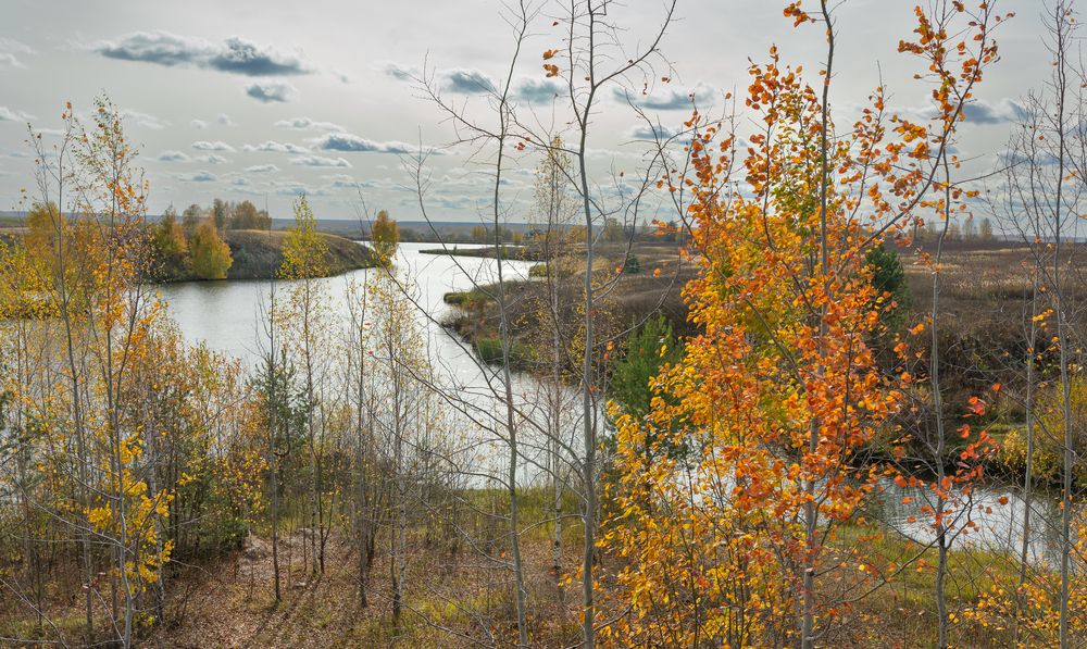 Фотография автора Александр Сальников