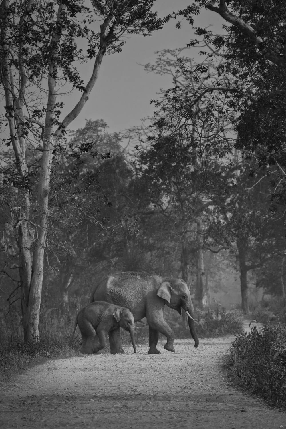 Фотография #13322244