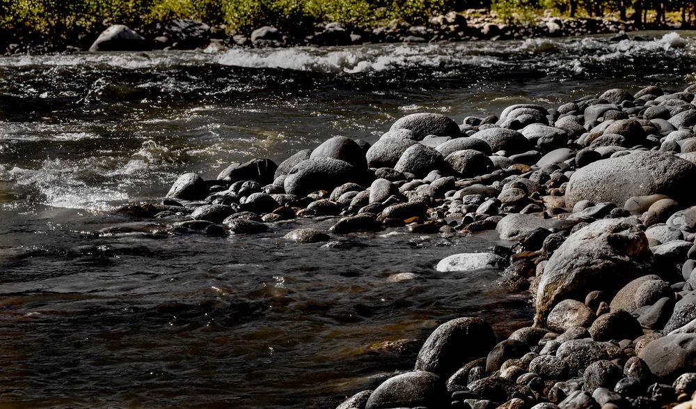 Фотография автора savitri Rawat