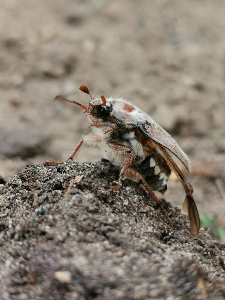 Photograph by Любовь Лунина