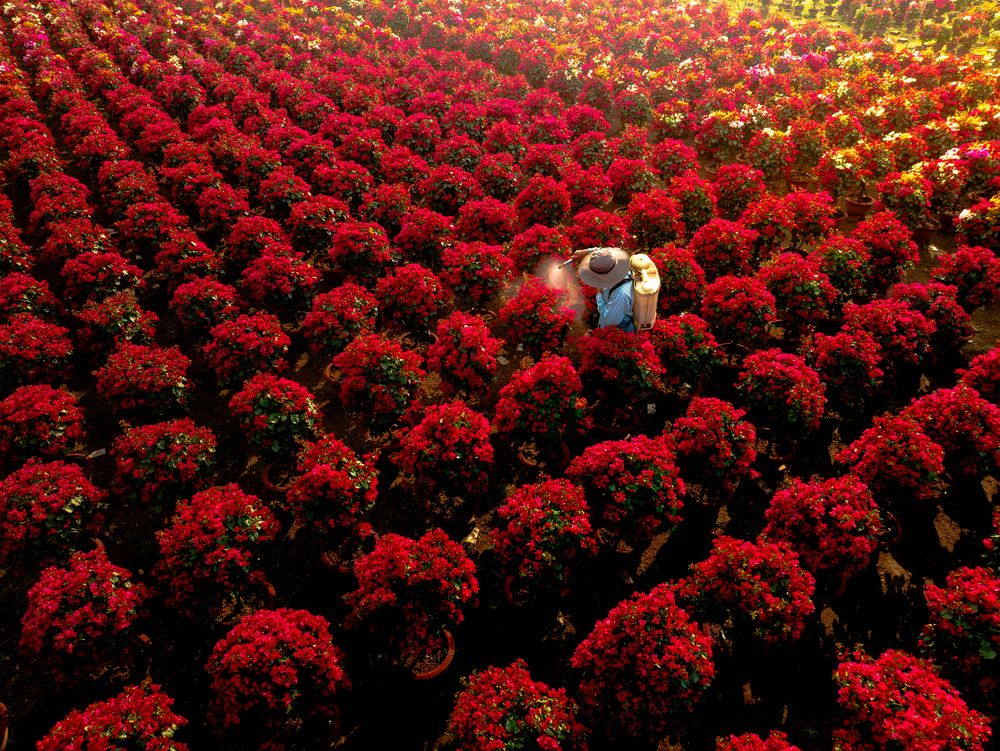 Photograph by Tran Phuong