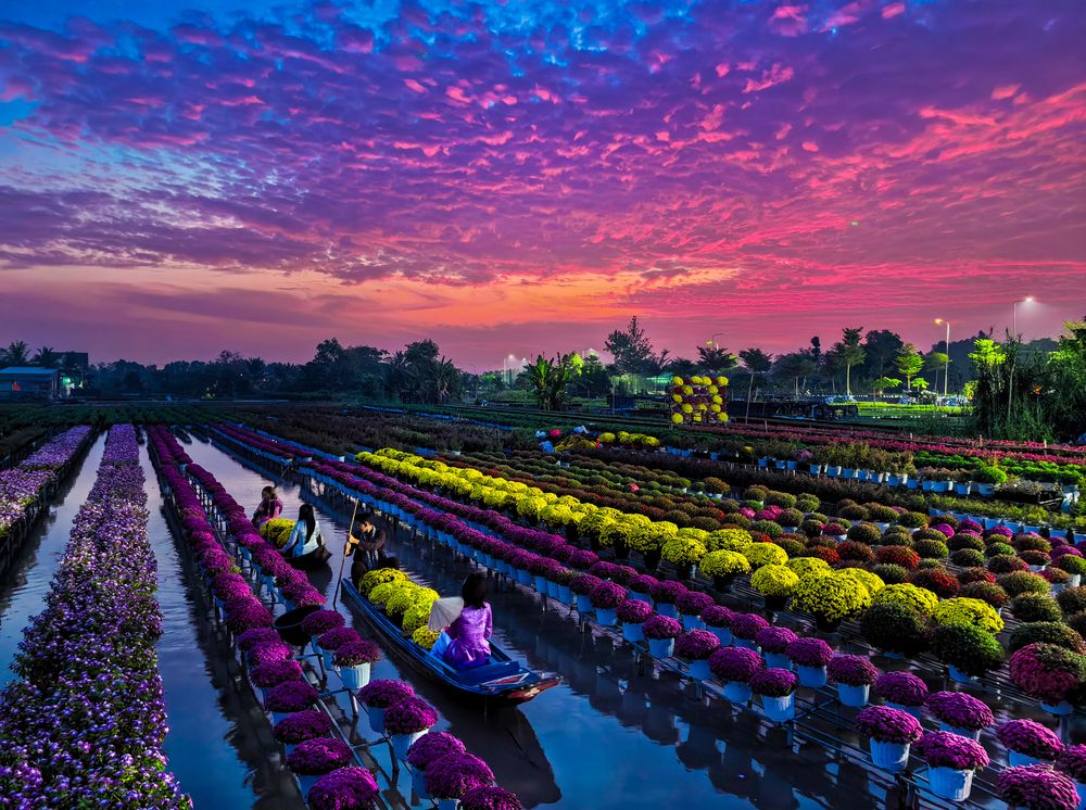 Photograph by Tran Phuong