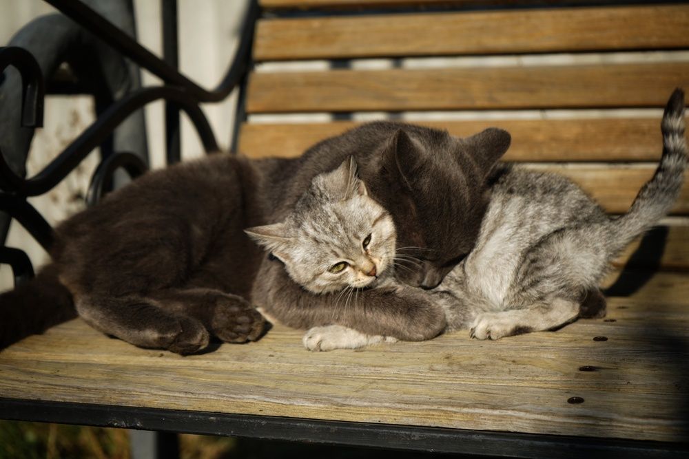 Photograph by Любовь Лунина