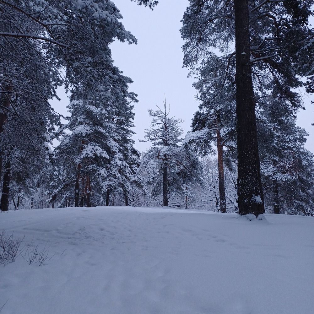 Photograph by Елена Фролова