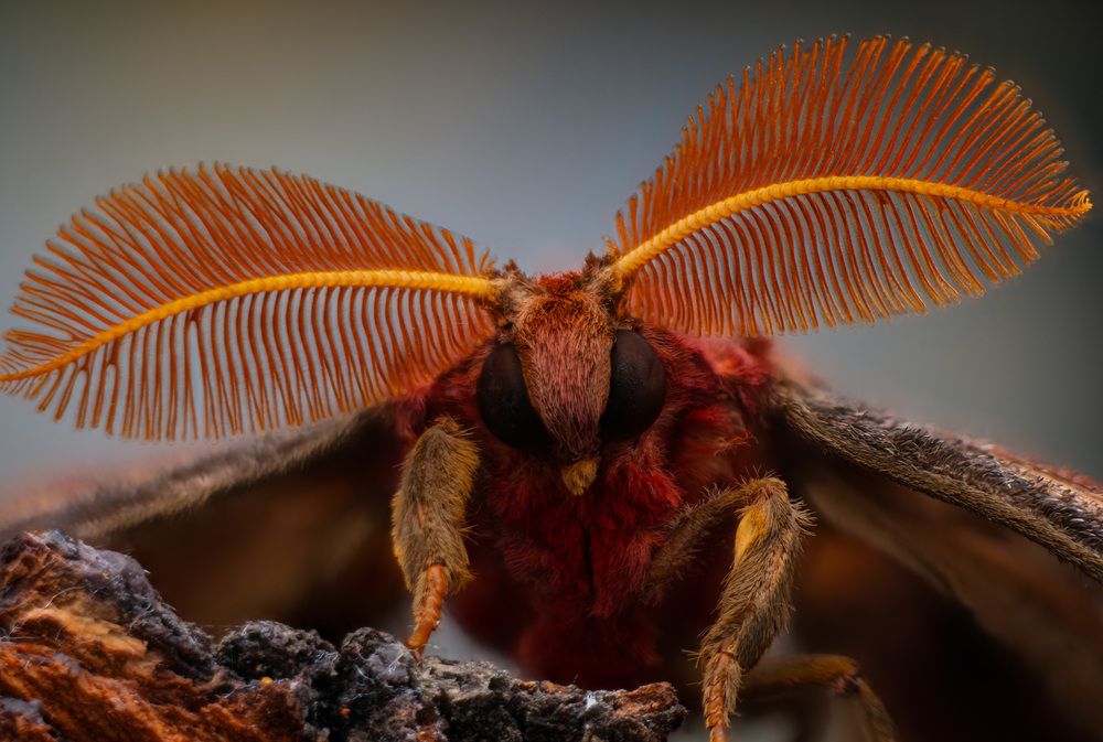 Photograph by Юрий Юрьевич Подгрушный