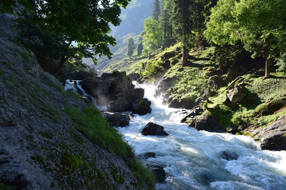 Photograph by SRINIVASA SUBRAHMANYAM SARIPALLI