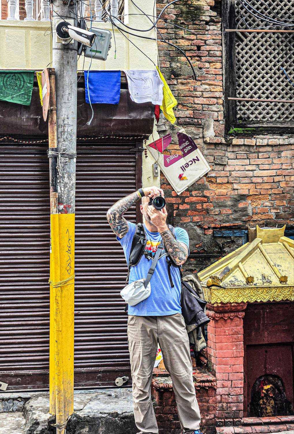 Capturing Life Between the Wires