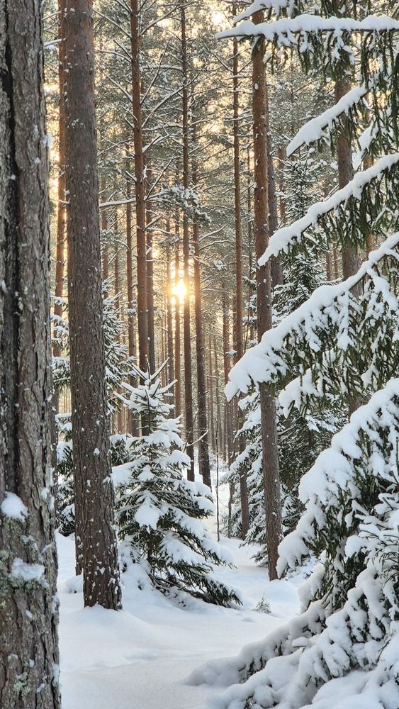 Pannjärve Estonia