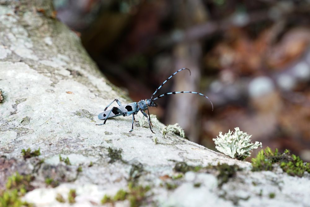 Photograph by света хлевненко